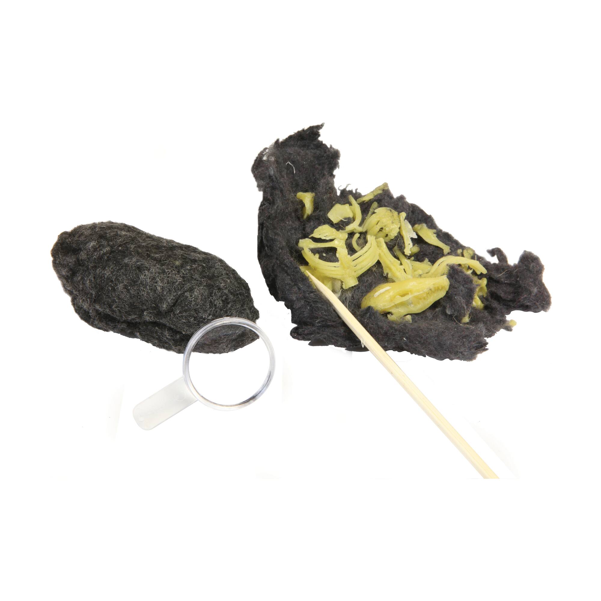 Owl Puke